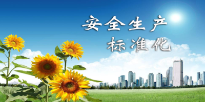 什么是安全生產標準化？